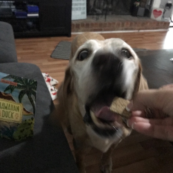 My heart is so full, I have to share! 💝💖💞 - Picture 3 of 5